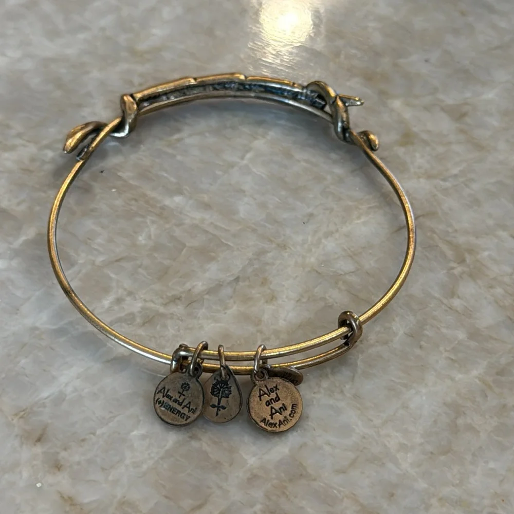 Alex and Ani great not